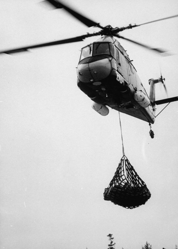 Caribou being flown to Maine.