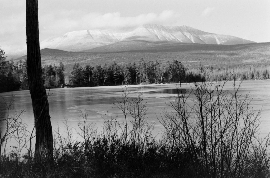 The Caribou were brought to Mount Katahdin in Maine's Baxter State Park. Caribou in Maine