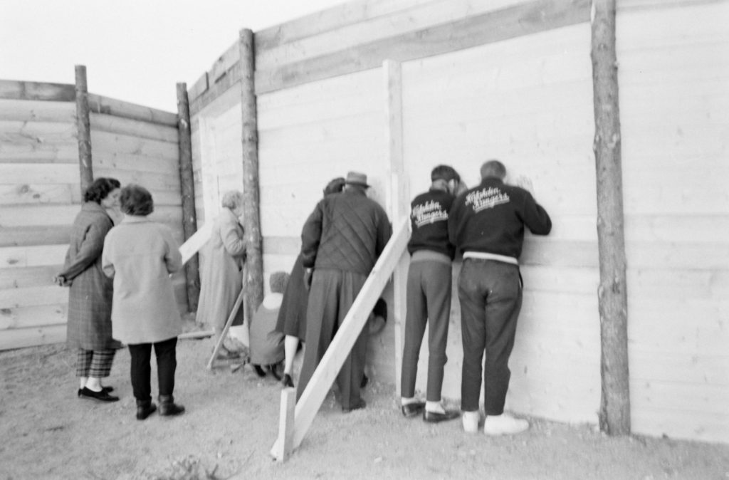 In Maine but before being released into the wild, the caribou attracted the curious. Caribou in Maine