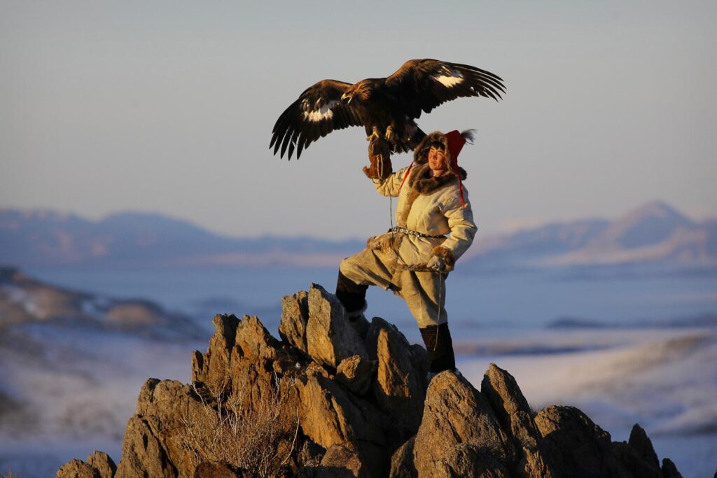 In the vast landscape of Mongolia’s Altai Mountains, ancient Kazakh hunters on horseback used eagles to track their prey. The tradition was passed down through generations. Today, the practice has become a source of tourism revenue from visitors who pay to see the famed birds in action.